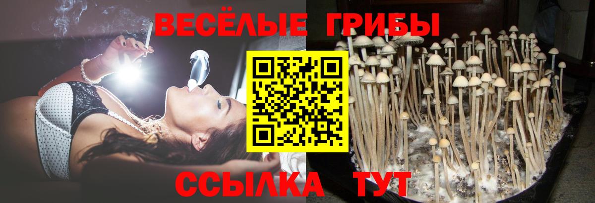 Тула  Псилоцибиновые грибы Magic Shrooms  Вход с VPN 